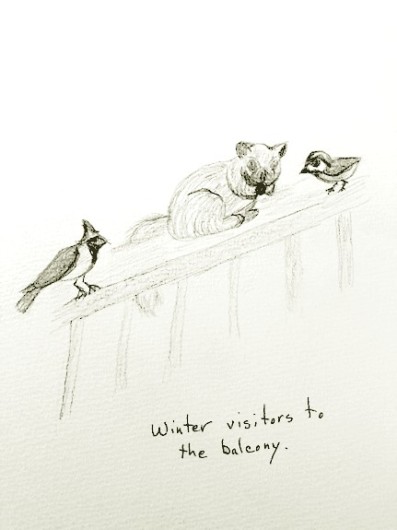 Winter Visitors to the Balcony, copyright Jean Black